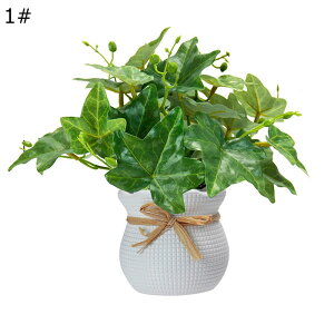 ϗtA  20cm  tFCNO[ ~jTCY lH u^ ͂ȂO[ A tFCNA A b炸 sv ~͐A Vzj ̓ ̓ Mtg 