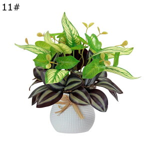 ϗtA  20cm  tFCNO[ ~jTCY lH u^ ͂ȂO[ A tFCNA A b炸 sv ~͐A Vzj ̓ ̓ Mtg 