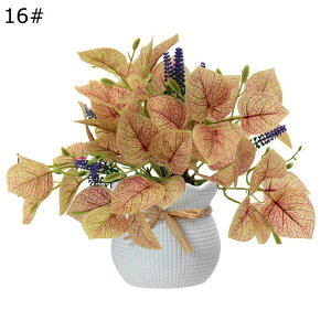 ϗtA  20cm  tFCNO[ ~jTCY lH u^ ͂ȂO[ A tFCNA A b炸 sv ~͐A Vzj ̓ ̓ Mtg 