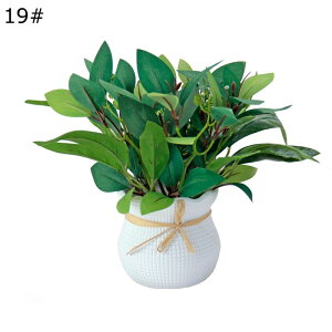 ϗtA  20cm  tFCNO[ ~jTCY lH u^ ͂ȂO[ A tFCNA A b炸 sv ~͐A Vzj ̓ ̓ Mtg 