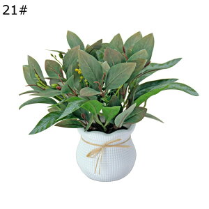 ϗtA  20cm  tFCNO[ ~jTCY lH u^ ͂ȂO[ A tFCNA A b炸 sv ~͐A Vzj ̓ ̓ Mtg 