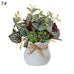 ϗtA  20cm  tFCNO[ ~jTCY lH u^ ͂ȂO[ A tFCNA A b炸 sv ~͐A Vzj ̓ ̓ Mtg 