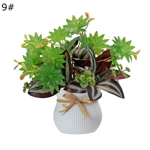 ϗtA  20cm  tFCNO[ ~jTCY lH u^ ͂ȂO[ A tFCNA A b炸 sv ~͐A Vzj ̓ ̓ Mtg 