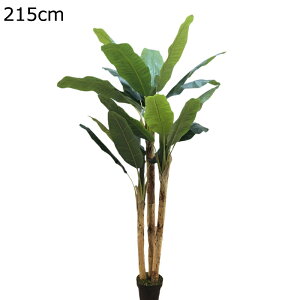 tFCNO[ oVE k 215cm ^ϗtA lHϗtA tFCNϗtA lHϗtA CeA  O sv ԕ Q̐SzȂ AȎ} Rȗt 傫