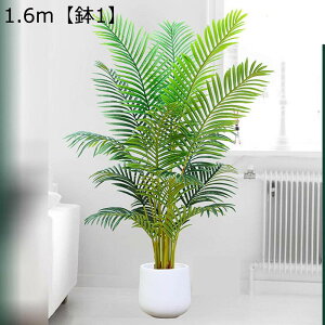 lHϗtA ^ AJV tFCNO[ AJp[ bsv ͂ȂO[ lH tFCNA CeA k  O j ̓ ϗt sv Q