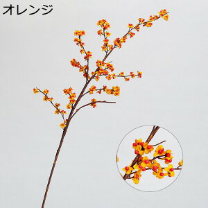 ԑ  ԃO[ IW ʕ  tFCN  ͂Ȃ t[AWg ̂т g ȒPb炸 k ins  ̓ CeA 蕨 x_