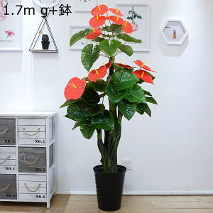 ԃO[ 170cm 150cm  Ύ O lHϗtA ^ tFCNO[ 1{ b炸 sv ͂Ȃ lH tFCNA  z[Ex_E p ϗt