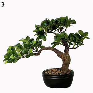 tFCNO[ ~j 32cm |bg CeA A  ϗtA lHt lHA   A Vv ItBX  ȒPb炸 ͂Ȃ ȒP t 