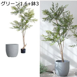 tFCNO[ ie CeAO[ ^Ηt  O[ INS k A lHϗtA { lHA ϗt lHt x_ bsv ͂Ȃ /