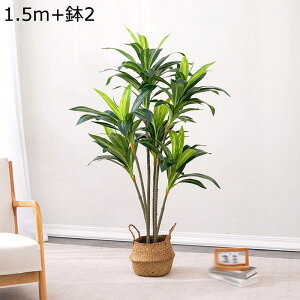 ^ϗtA k  125cm 150cm tFCN ԃJS tFCNO[ lHϗtA hZi ^ sṽz[ Q̐SzȂ ȒPb炸 ȒP ׍HJ R