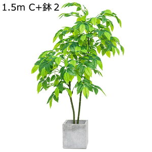 tFCNO[ K̖ ^ϗtA lHϗtA tFCNϗtA CeA  O sv ͂Ȃ ~͐A C Q쏜sv 傫 A ͋C ^ r