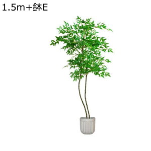 ϗtA ie tFCNO[ ^TCY lH u^ ͂ȂO[ A tFCNA sv ~͐A A  p[eB[̌ i CeAlHA