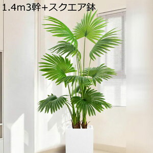 tFCNO[ |AIC L ͂ȂO[ A ډB  CeAO[ lHt ^Ηt { ϗtA lHA ϗt ͂Ȃ sv X 