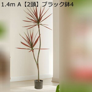 tFCNO[  ^ϗtA hZi E[c  lHϗtA tFCNϗtA CeA  O C sv ͂Ȃ ~͐A 傫 { 