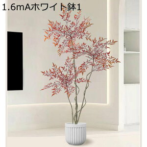 lHϗtA ^ A  ie 140cm tFCNO[ 1{ bh t lH ^ϗtA bsv ͂ȂO[ lH tFCNA  LO  Mtg ϗt 