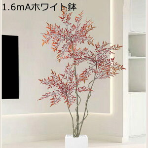 lHϗtA ^ A  ie 140cm tFCNO[ 1{ bh t lH ^ϗtA bsv ͂ȂO[ lH tFCNA  LO  Mtg ϗt 