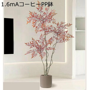 lHϗtA ^ A  ie 140cm tFCNO[ 1{ bh t lH ^ϗtA bsv ͂ȂO[ lH tFCNA  LO  Mtg ϗt 