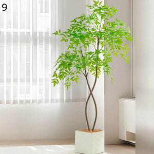 tFCNO[ ie lHt CeAO[ ^Ηt A ACr[K[h lHϗtA { ϗtA ȒPb炸 ͂Ȃ /O z[K[