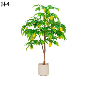 lHϗtA A ʕ   A { CeAO[ ͂ȂO[ tFCNO[ ^ Q쏜sv lHA ϗt ϗtA K[f  