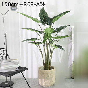 lHϗtA Xe ^ 150cm 130cm k tFCNO[ b炸 sv ͂Ȃ lH tFCNA f[ K[fjO v[g ֏ ܂ ϗt 