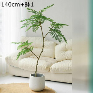 tFCNO[ AJV 160cm ^ A lHϗtA tFCNc[ CeAO[ ^Ηt ϗtA ϗt ͂Ȃ sv lHt i`  뉀 iX 