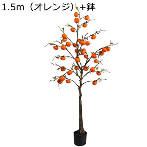 tFCNO[ ʕ ԉʎ ۂ` ^ A lHϗtA 80cm  ԃJS tFCNc[ ^Ηt ϗtA lHA ϗt { ͂Ȃ sv /O