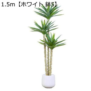 tFCNO[ TCU ^ Mъϗt ̂t A lHϗtA CeAO[ lHt { ϗt ͂Ȃ sv CeA CeA EF