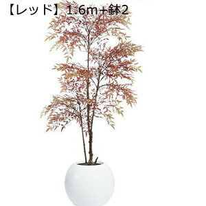 ^ϗtA ie tFCN tFCNO[ lHϗtA KW} ^TCY sṽz[ Q̐SzȂ ȒP? RɒF u₩ Ύ lHϗtA i` A