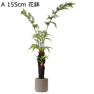 lHϗtA AJV 155cm 110cm V_~ A V_ ͂ȂO[ { CeAO[ gsJ tFCNO[ ^ ϗtA lHt lHA  