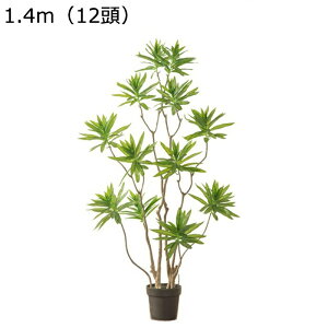 tFCNO[ 140cm 160cm hZi CeA A lHϗtA lHA ϗt lHt Vv ItBX  bsv ͂Ȃ t A  O CeA r