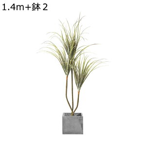 tFCNO[ hZi  lHϗtA Mъϗt CeAO[ A { ͂ȂO[ ^Ηt lHt bsv k A[g ins ItBX K[f