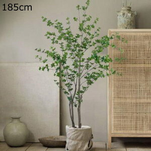 lHϗtA ^ hE_ccW tFCNO[ 1{ ͂Ȃ sv lH tFCNA A  p[eB[̌ ϗt f[ K[fjO rO[ 