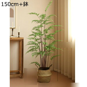 tFCNO[ AJV 180cm 150cm ^ϗtA k V_ lHϗtA ̂t tFCNϗtA CeA  O C G} sv ͂Ȃ ~͐A 傫