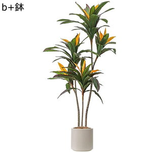 lHϗtA ^  170cm tFCNO[ 1{ hZi ȒP? sv Q쏜sv ͂Ȃ lH tFCNA A k p[eB[̌ ֐ ϗt p 