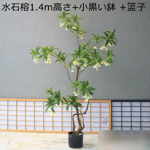 tFCNO[  KW}  140cm ԃO[ CeAO[ KW} ^Ηt A lHϗtA { ϗtA lHt ͂Ȃ  X ԉ ze 