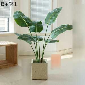 tFCNO[ Xe̗t lHϗtA CeAO[ A ^Ηt { ϗt ϗtA ͂ȂO[ k ins  CeA EFfBO