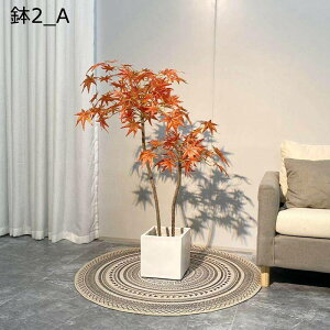 tFCNO[ gt 160cm ݂ CeA A ~W lHϗtA ϗtA lHA Vv ItBX  bsv ͂Ȃ  j A ԉ fR[V 