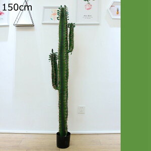 tFCNO[ A Mъϗt T{e 150cm lHϗtA A CeAO[ lHt ^Ηt { lHA ͂Ȃ sv X /O z[