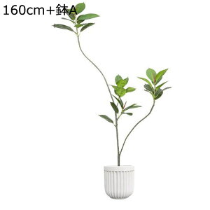 ϗtA tFCNO[ 160cm KW} ^TCY lH u^ ͂ȂO[ A lHϗtA ȒPb炸 sv ~͐A X /O z[K[f p[eB