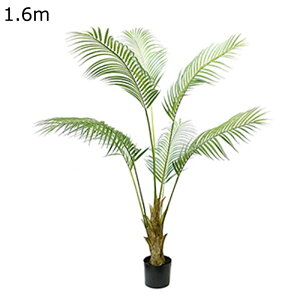 tFCNO[ AJV 160cm CeA A lHϗtA ϗtA lHA ϗt  Vv ItBX  sv Q쏜sv  j A ԉ fR[V