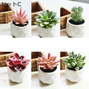 tFCNO[ A A lHϗtA CeAO[ lHt Ηt { ϗtA ͂Ȃ sv CeA CeA EFfBO x_