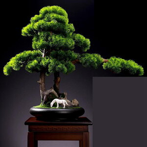 tFCNO[  CeAO[ ͂ȂO[ Ηt u  A lHϗtA { ϗtA lHt bsv ͂Ȃ /O z[K[f