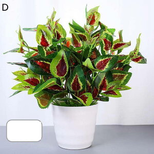 lHϗtA A lHt A |gX ACr[ { CeAO[ tFCNO[ Q쏜sv lHA ϗtA ̓ hV̓ j NX}X