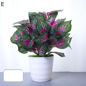 lHϗtA A lHt A |gX ACr[ { CeAO[ tFCNO[ Q쏜sv lHA ϗtA ̓ hV̓ j NX}X