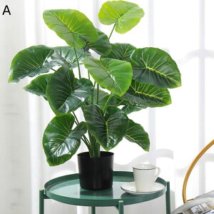 tFCNO[ Xe Mъϗt lHϗtA CeAO[ A { ^Ηt lHt lHA ͂Ȃ  _ k rO[ 