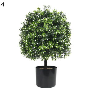 lH~ lHϗtA 50cm A ^ tFCNO[ O[A{[ tFCNA 뉀V~[VA sv Q쏜sv tFCNA CeA  O 