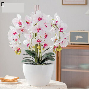 ԃZbg ԃCeA Ӓ A ͂Ȃ  A[gt[ ϗtA A { ȒPb炸 ԕrt k ins  hV̓ j  Mtg