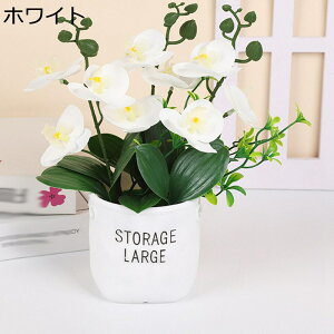 ԕrttFCNt[ Ӓ  CeA ϗtA ȒPb炸 ԕrɓVNt[  _ k ԕrptFCNt[ 蕨 v[g p 