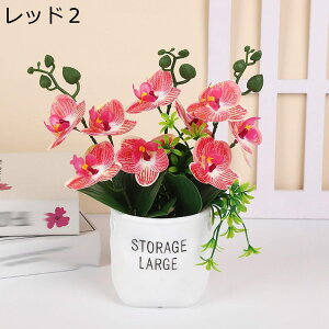 ԕrttFCNt[ Ӓ  CeA ϗtA ȒPb炸 ԕrɓVNt[  _ k ԕrptFCNt[ 蕨 v[g p 