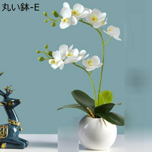  ͂Ȃ ~j Ӓ o x_[ ԃCeA ϗtA  A { ԕrt lH Q쏜sv  _ k ItBX 蕨 K[f